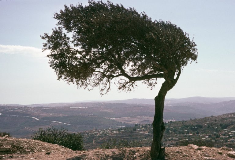 Printers’ Pilgrimage to Israel