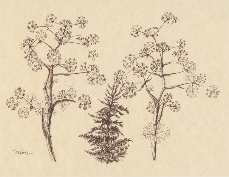 Susanne Suba greeting card