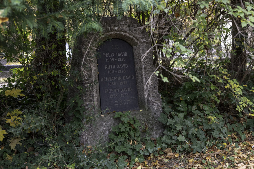 Gravestone for the David Family