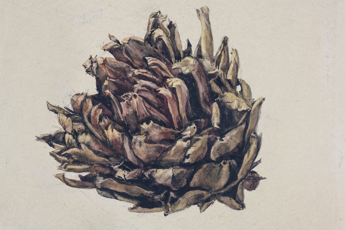 Artichoke watercolor painting