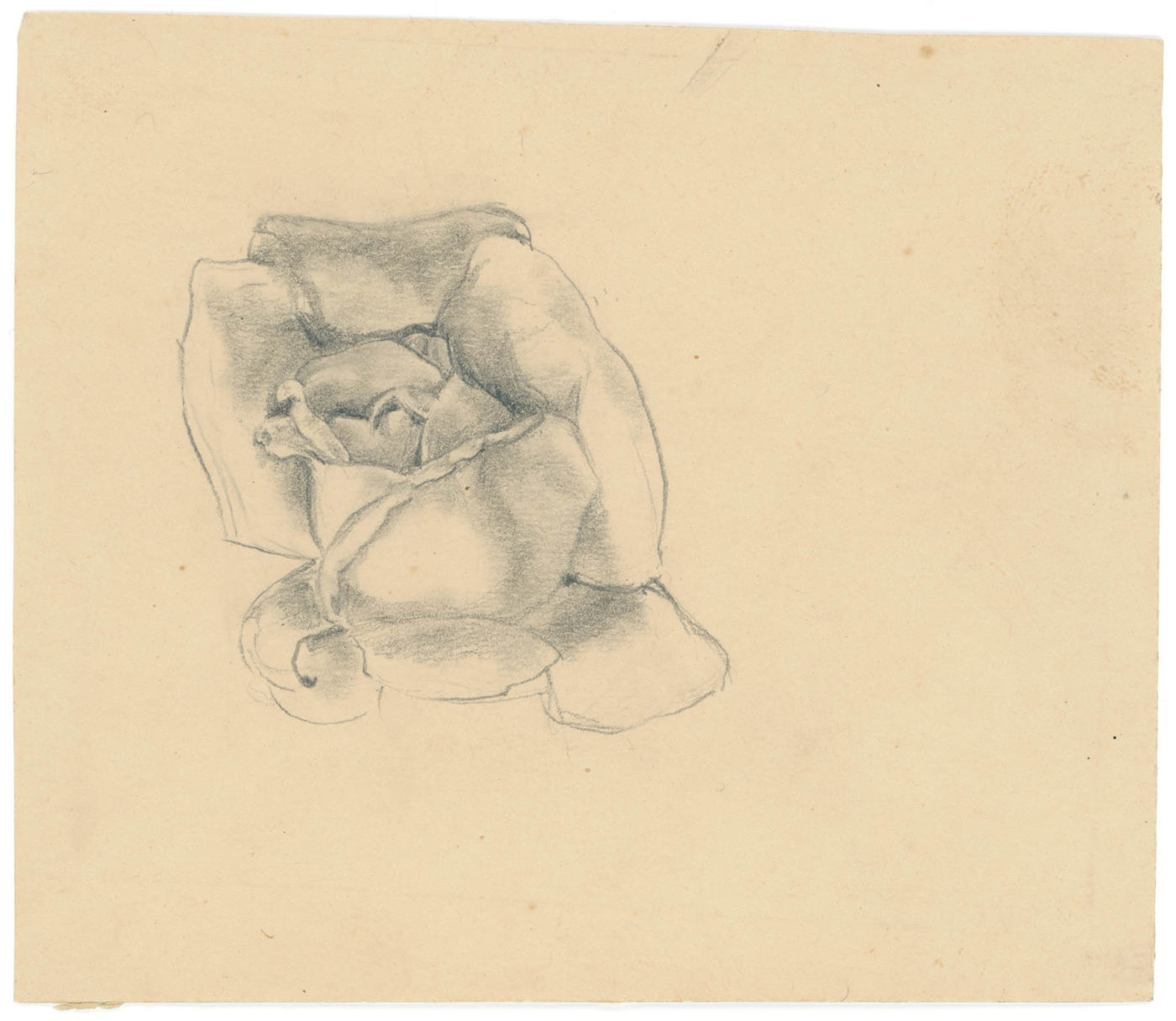 Sketch of a rosebud