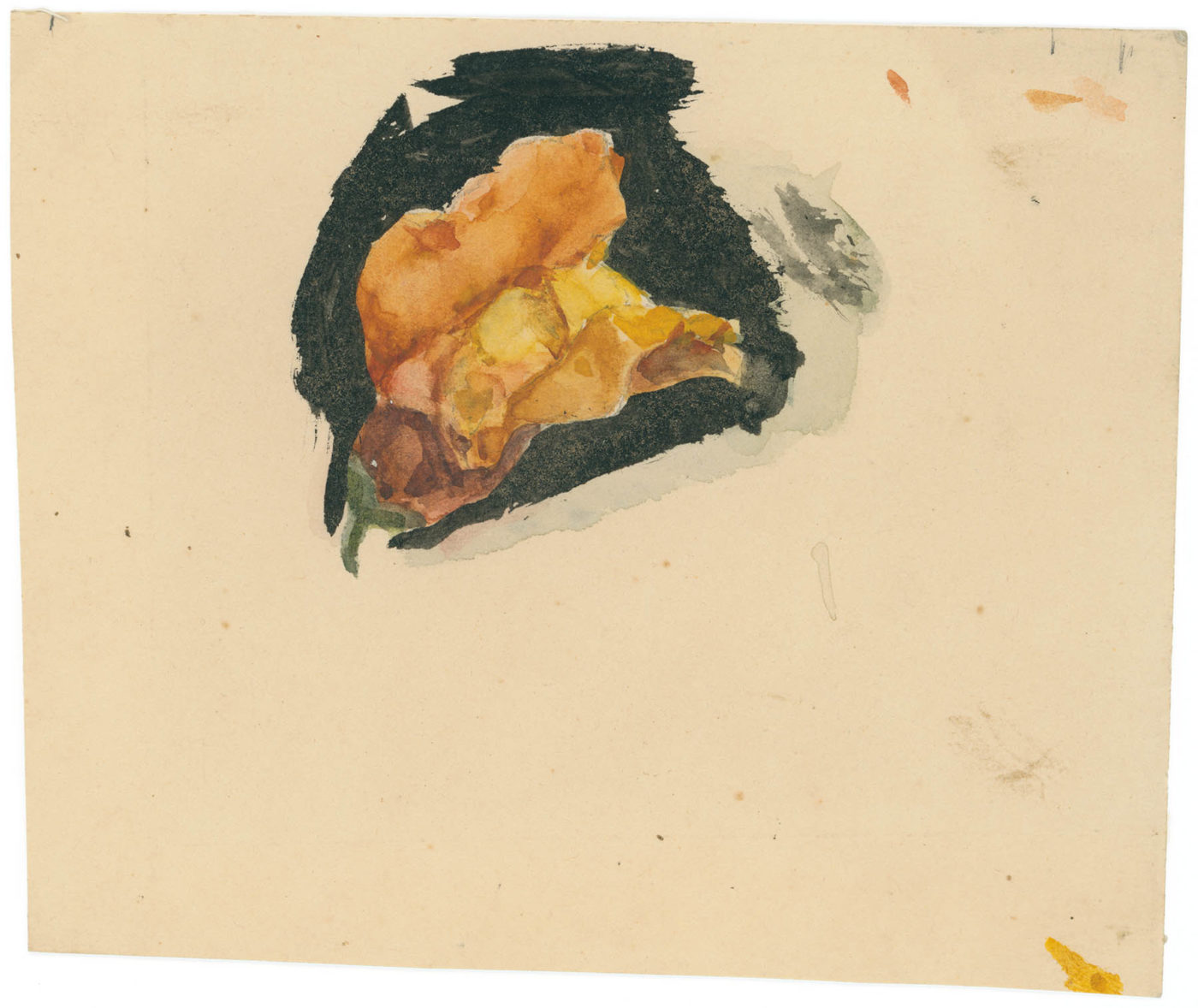 Watercolor of a snapdragon