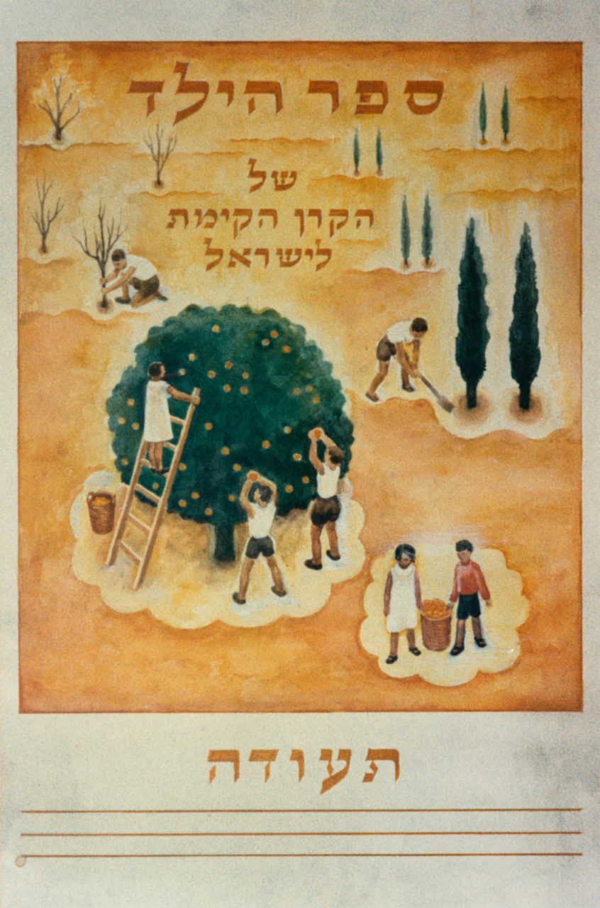 Book of the Child certificate