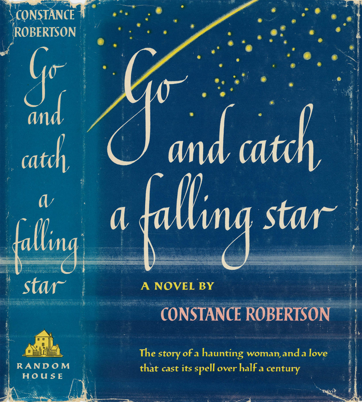 Book jacket of Go and catch a falling star