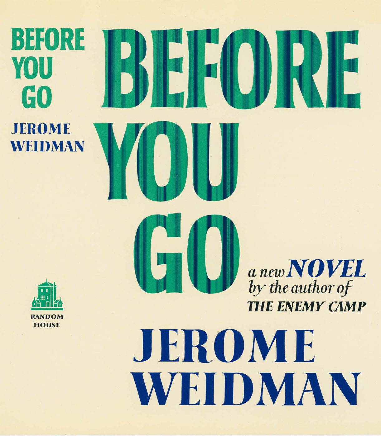 Book jacket of Before You Go